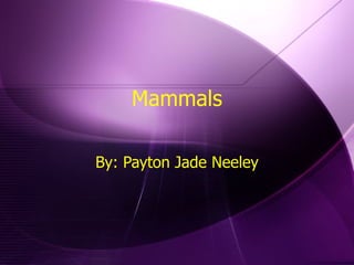 Mammals By: Payton Jade Neeley 