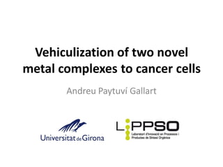 Vehiculization of two novel
metal complexes to cancer cells
Andreu Paytuví Gallart
 