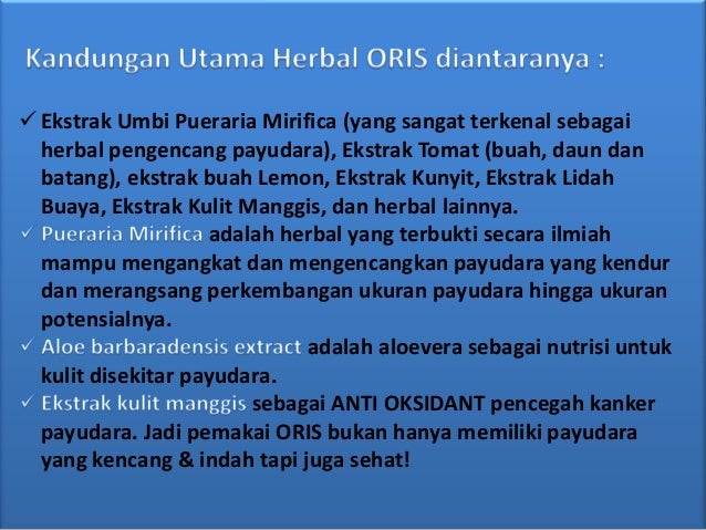 Payudara indah