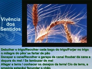 Vivência dos Sentidos Debulhar o trigo/Recolher cada bago do trigo/Forjar no trigo o milagre do pão/ se fartar de pão Decepar a cana/Recolher a garapa da cana/ Roubar da cana a doçura do mel / Se lambuzar de mel Afagar a terra / conhecer os desejos da terra/ Cio da terra, a propícia estação/ fecundar o chão 