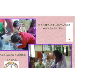 E DESPOIS PLANTAMOS
                     AS SEMENTES …




AS NOSAS FLORES
    DA PAZ
 