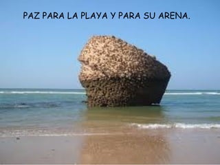PAZ PARA LA PLAYA Y PARA SU ARENA.
 