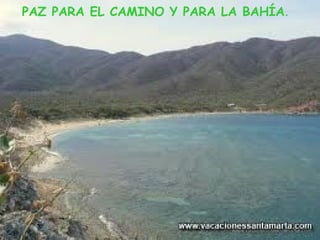 PAZ PARA EL CAMINO Y PARA LA BAHÍA.
 