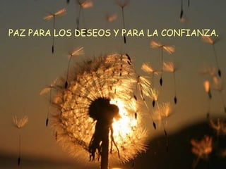 PAZ PARA LOS DESEOS Y PARA LA CONFIANZA.
 