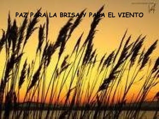 PAZ PARA LA BRISA Y PARA EL VIENTO
 