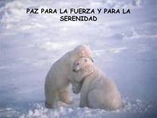 PAZ PARA LA FUERZA Y PARA LA
         SERENIDAD
 