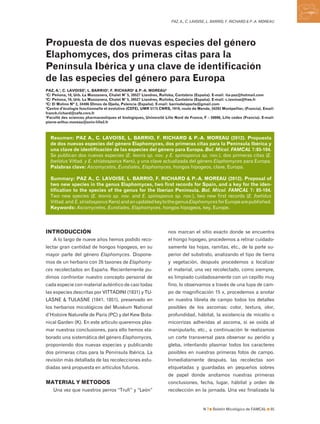 N 7 Boletín Micológico de FAMCAL 85
PAZ, A., C. LAVOISE, L. BARRIO, F. RICHARD & P.-A. MOREAU
Propuesta de dos nuevas especies del género
Elaphomyces, dos primeras citas para la
Península Ibérica y una clave de identificación
de las especies del género para Europa
PAZ, A.1
, C. LAVOISE2
, L. BARRIO3
, F. RICHARD4
& P.-A. MOREAU5
1
C/ Peñona, 10, Urb. La Manzanera, Chalet N° 5, 39527 Liandres, Ruiloba, Cantabria (España). E-mail: ita-paz@hotmail.com
2
C/ Peñona, 10, Urb. La Manzanera, Chalet N° 5, 39527 Liandres, Ruiloba, Cantabria (España). E-mail: c.lavoise@free.fr
3
C/ El Molino Nº 2, 34486 Olmos de Ojeda, Palencia (España). E-mail: barriodelaparte@gmail.com
4
Centre d’écologie fonctionnelle et évolutive (CEFE), UMR 5175 CNRS, 1919, route de Mende, 34293 Montpellier, (Francia). Email:
franck.richard@cefe.cnrs.fr
5
Faculté des sciences pharmaceutiques et biologiques, Université Lille Nord de France, F – 59006, Lille cedex (Francia). E-mail:
pierre-arthur.moreau@univ-lille2.fr
Resumen: PAZ A., C. LAVOISE, L. BARRIO, F. RICHARD & P.-A. MOREAU (2012). Propuesta
de dos nuevas especies del género Elaphomyces, dos primeras citas para la Península Ibérica y
una clave de identificación de las especies del género para Europa. Bol. Micol. FAMCAL 7:85-104.
Se publican dos nuevas especies (E. leonis sp. nov. y E. spirosporus sp. nov.), dos primeras citas (E.
foetidus Vittad. y E. striatosporus Kers), y una clave actualizada del género Elaphomyces para Europa.
Palabras clave: Ascomycetes, Eurotiales, Elaphomyces, hongos hipogeos, clave, Europa.
Summary: PAZ A., C. LAVOISE, L. BARRIO, F. RICHARD & P.-A. MOREAU (2012). Proposal of
two new species in the genus Elaphomyces, two first records for Spain, and a key for the iden-
tification to the species of the genus for the Iberian Peninsula. Bol. Micol. FAMCAL 7: 85-104.
Two new species (E. leonis sp. nov. and E. spirosporus sp. nov.), two new first records (E. foetidus
Vittad.and E.striatosporusKers)andanupdatedkeytothegenusElaphomycesforEuropearepublished.
Keywords: Ascomycetes, Eurotiales, Elaphomyces, hongos hipogeos, key, Europe.
INTRODUCCIÓN
A lo largo de nueve años hemos podido reco-
lectar gran cantidad de hongos hipogeos, en su
mayor parte del género Elaphomyces. Dispone-
mos de un herbario con 26 taxones de Elaphomy-
ces recolectados en España. Recientemente pu-
dimos confrontar nuestro concepto personal de
cada especie con material auténtico de casi todas
las especies descritas por VITTADINI (1831) y TU-
LASNE & TULASNE (1841, 1851), preservado en
los herbarios micológicos del Muséum National
d’Histoire Naturelle de Paris (PC) y del Kew Bota-
nical Garden (K). En este artículo queremos plas-
mar nuestras conclusiones, para ello hemos ela-
borado una sistemática del género Elaphomyces,
proponiendo dos nuevas especies y publicando
dos primeras citas para la Península Ibérica. La
revisión más detallada de las recolecciones estu-
diadas será propuesta en artículos futuros.
MATERIAL Y MÉTODOS
Una vez que nuestros perros “Trufi” y “León”
nos marcan el sitio exacto donde se encuentra
el hongo hipogeo, procedemos a retirar cuidado-
samente las hojas, ramitas, etc., de la parte su-
perior del substrato, analizando el tipo de tierra
y vegetación, después procedemos a localizar
el material, una vez recolectado, como siempre,
es limpiado cuidadosamente con un cepillo muy
fino, lo observamos a través de una lupa de cam-
po de magnificación 15 x, procedemos a anotar
en nuestra libreta de campo todos los detalles
posibles de los ascomas: color, textura, olor,
profundidad, hábitat, la existencia de micelio o
micorrizas adheridas al ascoma, si se oxida al
manipularlo, etc., a continuación le realizamos
un corte transversal para observar su peridio y
gleba, intentando plasmar todos los caracteres
posibles en nuestras primeras fotos de campo.
Inmediatamente después, las recolectas son
etiquetadas y guardadas en pequeños sobres
de papel donde anotamos nuestras primeras
conclusiones, fecha, lugar, hábitat y orden de
recolección en la jornada. Una vez finalizada la
 