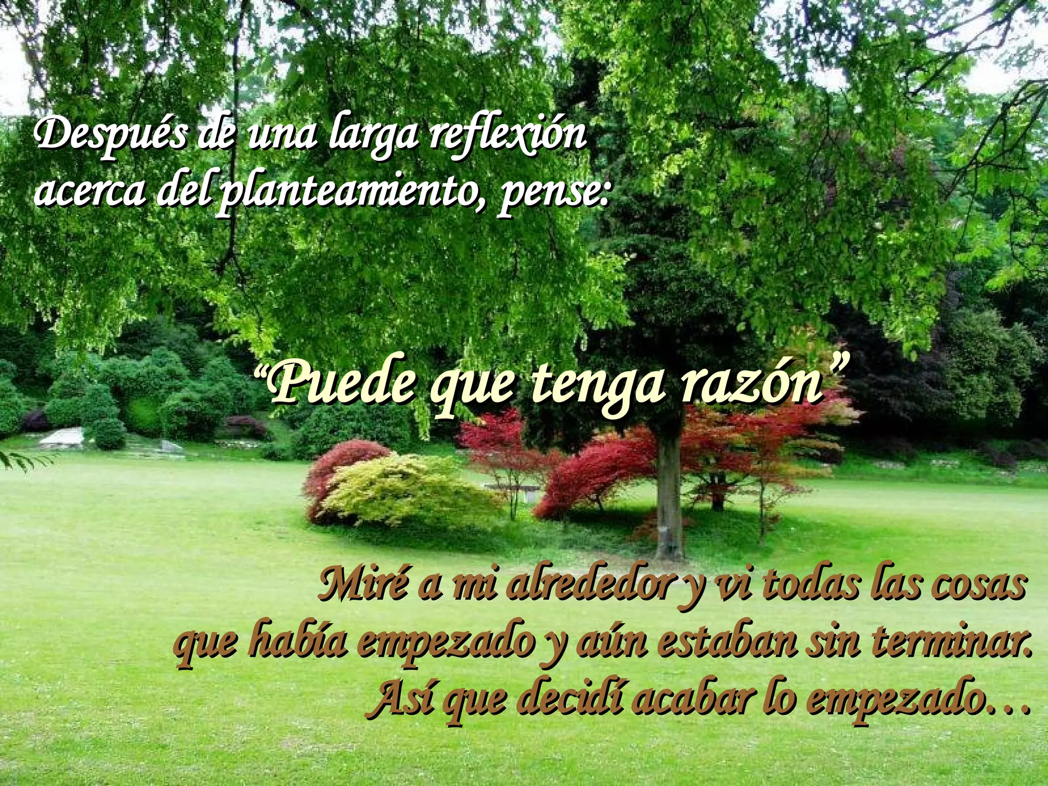 Después de una larga reflexión acerca del planteamiento, pense: “ Puede que tenga razón” Miré a mi alrededor y vi todas las cosas que había empezado y aún estaban sin terminar. Así que decidí acabar lo empezado…