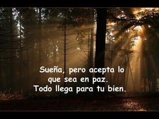 Sueña, pero acepta lo 
que sea en paz. 
Todo llega para tu bien. 
 