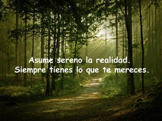 Asume sereno la realidad. 
Siempre tienes lo que te mereces. 
 