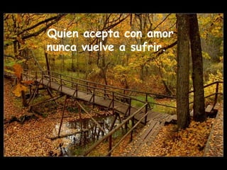 Quien acepta con amor 
nunca vuelve a sufrir. 
 