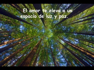 El amor te eleva a un 
espacio de luz y paz. 
 