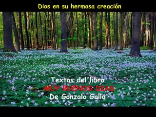 Dios en su hermosa creación 
Textos del libro 
MUY BUENOS DIAS 
De Gonzalo Gallo 
