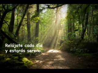 Relájate cada día 
y estarás sereno. 
 