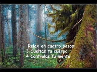 Relax en cuatro pasos: 
3 Sueltas tu cuerpo 
4 Controlas tu mente 
 