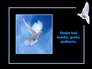 Onde hai
medo, poño
audacia.
 