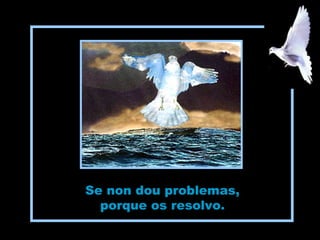 ppshuguette
Se non dou problemas,
porque os resolvo.
 