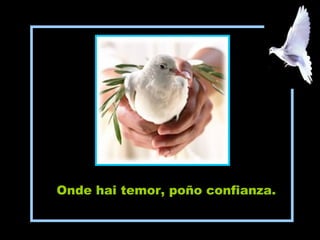 Onde hai temor, poño confianza.
 