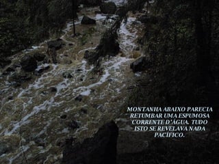 MONTANHA ABAIXO PARECIA RETUMBAR UMA ESPUMOSA CORRENTE D’ÁGUA. TUDO ISTO SE REVELAVA NADA PACÍFICO. 