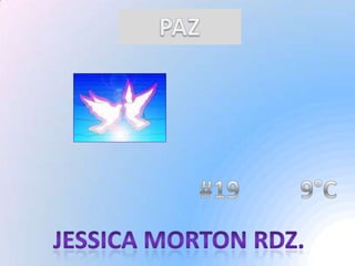 PAZ #19          9°C Jessica Morton Rdz. 