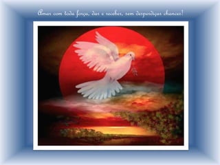 Amar com toda força, dar e receber, sem desperdiçar chances!
 