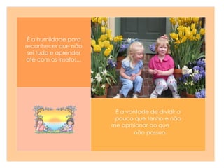 É a vontade de dividir o pouco que tenho e não me aprisionar ao que  não possuo.   É a humildade para reconhecer que não sei tudo e aprender até com os insetos... 
