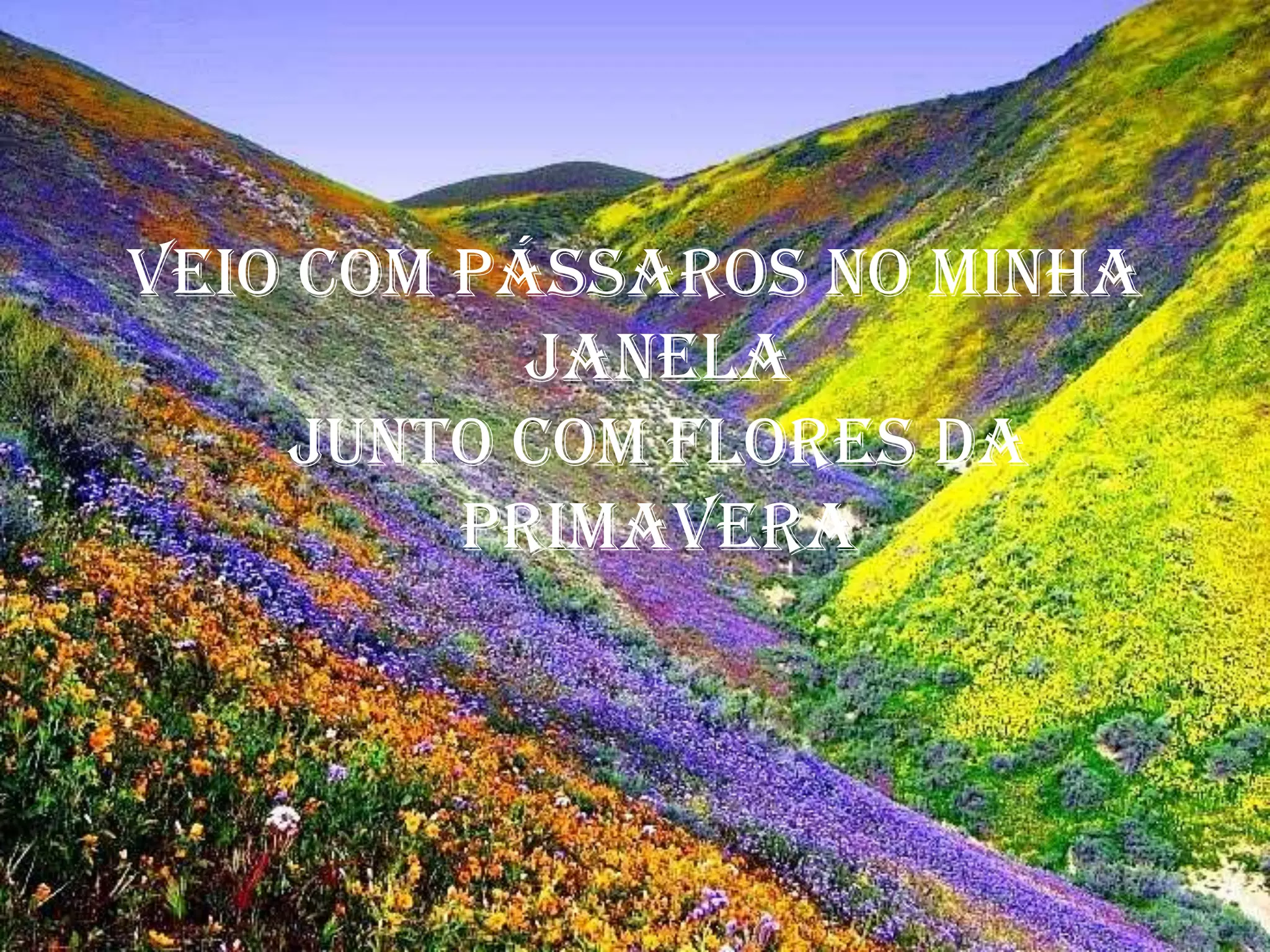 Veio com pássaros no minha janelajunto com flores da primavera
