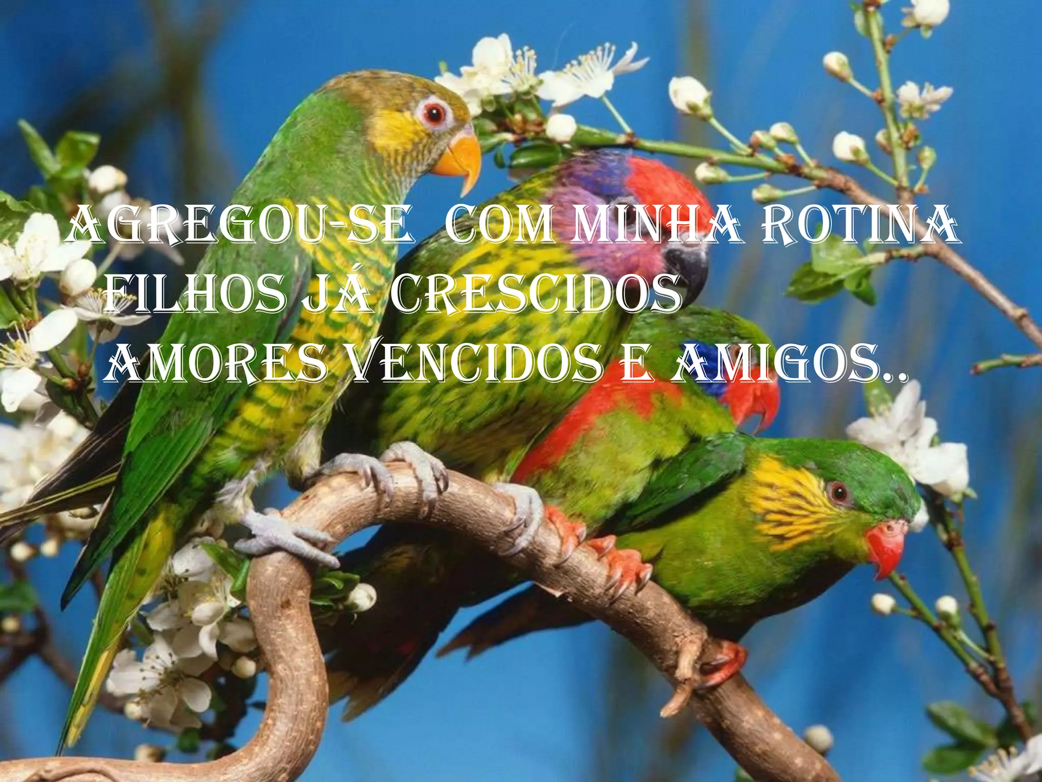 Agregou-se  com minha rotinafilhos já crescidosamores vencidos e amigos..