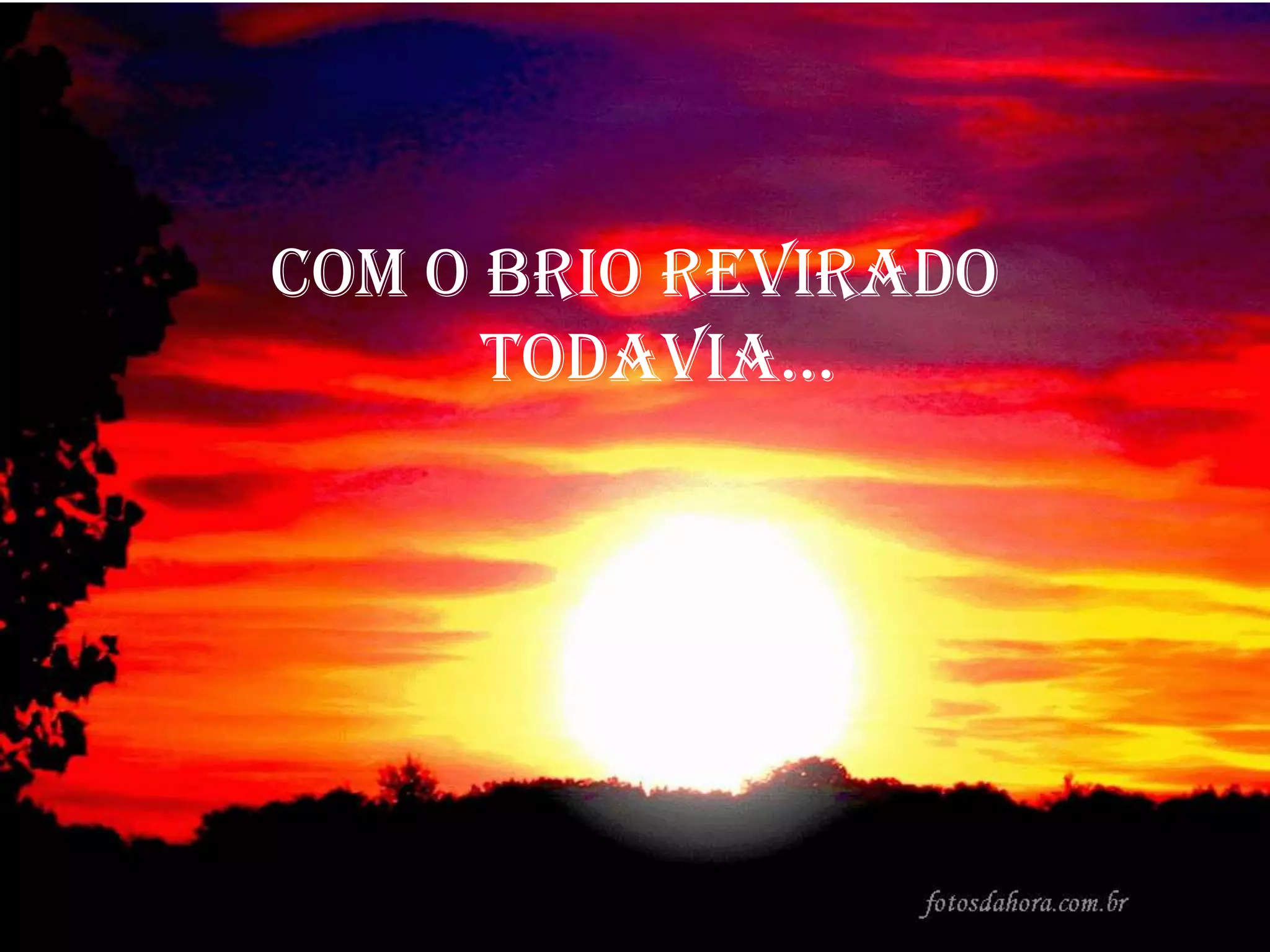 Com o brio reviradotodavia...
