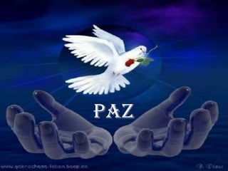 PAZ<br />