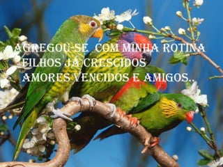 Agregou-se  com minha rotinafilhos já crescidosamores vencidos e amigos..<br />