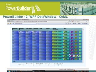PowerBuilder 12: WPF DataWindow - XAML 