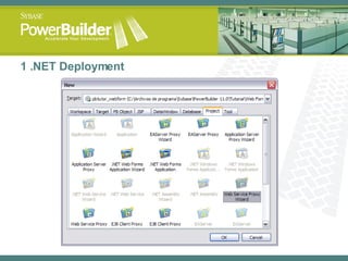 1 .NET Deployment 