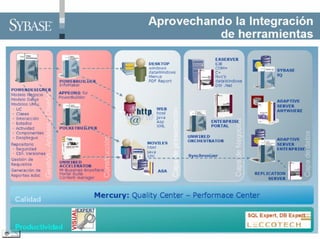 Pb11002 Problematica