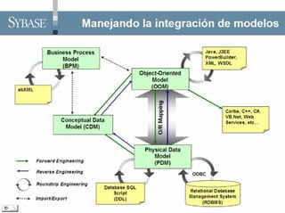 Pb11002 Problematica