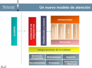Pb11002 Problematica
