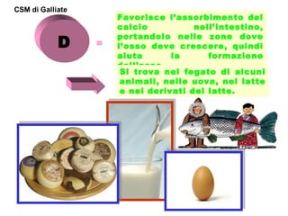 D

=

Favorisce l’assorbimento del
calcio
nell’intestino,
portandolo nelle zone dove
l’osso deve crescere, quindi
aiuta
la
formazione
dell’osso.
Si trova nel fegato di alcuni
animali, nelle uova, nel latte
e nei derivati del latte.

 