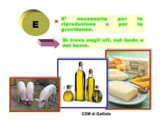E

=

E’
necessaria
riproduzione
e
gravidanza.

per
per

la
la

Si trova negli oli, nel lardo e
nel burro.

CSM di Galliate

 