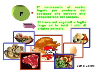 F

=

E’
necessaria
al
nostro
fegato
per
produrre
dei
sostanze che servono alla
coagulazione del sangue.
Si trova nei vegetali a foglia
larga ed in tutti i cibi di
origine animale.

 