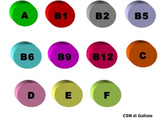 A

B1

B6

B9

D

E

B2

B5

B12

C

F
CSM di Galliate

 