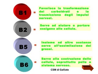 B1
B2
B5
B6

=

=

Favorisce la trasformazione
dei
carboidrati
e
la
trasmissione degli impulsi
nervosi.
Serve ad aiutare a portare
ossigeno alle cellule.

=

Insieme ad altre sostanze
serve all’assimilazione dei
grassi.

=

Serve alla costruzione delle
cellule, soprattutto pelle e
sistema nervoso.

 