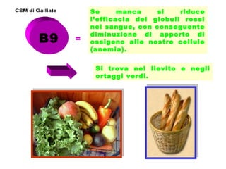 B9

=

Se
manca
si
riduce
l’efficacia dei globuli rossi
nel sangue, con conseguente
diminuzione di apporto di
ossigeno alle nostre cellule
(anemia).
Si trova nel lievito e negli
ortaggi verdi.

 