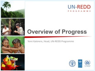 Overview of Progress Yemi Katerere, Head, UN-REDD Programme 