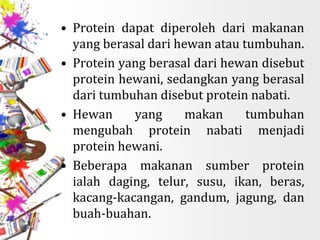 • Protein dapat diperoleh dari makanan
yang berasal dari hewan atau tumbuhan.
• Protein yang berasal dari hewan disebut
protein hewani, sedangkan yang berasal
dari tumbuhan disebut protein nabati.
• Hewan yang makan tumbuhan
mengubah protein nabati menjadi
protein hewani.
• Beberapa makanan sumber protein
ialah daging, telur, susu, ikan, beras,
kacang-kacangan, gandum, jagung, dan
buah-buahan.
 