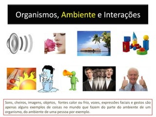 Organismos, Ambiente e Interações




Sons, cheiros, imagens, objetos, fontes calor ou frio, vozes, expressões faciais e gestos são
apenas alguns exemplos de coisas no mundo que fazem do parte do ambiente de um
organismo, do ambiente de uma pessoa por exemplo.
 