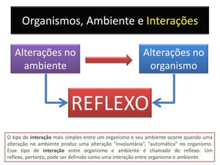 Organismos, Ambiente e Interações

   Alterações no                                        Alterações no
     ambiente                                            organismo


                          REFLEXO
O tipo de interação mais simples entre um organismo e seu ambiente ocorre quando uma
alteração no ambiente produz uma alteração “involuntária”, “automática” no organismo.
Esse tipo de interação entre organismo e ambiente é chamado de reflexo. Um
reflexo, portanto, pode ser definido como uma interação entre organismo e ambiente.
 