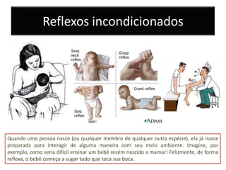 Reflexos incondicionados




Quando uma pessoa nasce (ou qualquer membro de qualquer outra espécie), ela já nasce
preparada para interagir de alguma maneira com seu meio ambiente. Imagine, por
exemplo, como seria difícil ensinar um bebê recém nascido a mamar! Felizmente, de forma
reflexa, o bebê começa a sugar tudo que toca sua boca.
 