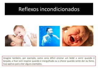 Reflexos incondicionados




Imagine também, por exemplo, como seria difícil ensinar um bebê a sorrir quando é
beijado, a ficar sem respirar quando é mergulhado ou a chorar quando sente dor ou fome.
Isso apenas para citar alguns exemplos.
 