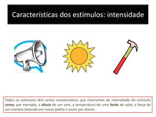 Características dos estímulos: intensidade




Todos os estímulos têm certas características que chamamos de intensidade do estímulo
como, por exemplo, a altura de um som, a temperatura de uma fonte de calor, a força de
um martelo batendo em nosso joelho e assim por diante.
 