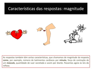 Características das respostas: magnitude




As respostas também têm certas características, que chamamos de magnitude da resposta
como, por exemplo, número de batimentos cardíacos por minuto, força de contração de
um músculo, quantidade de suor secretada e assim por diante. Passemos agora às leis do
reflexo.
 